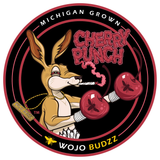 Sticker - Cherry Punch